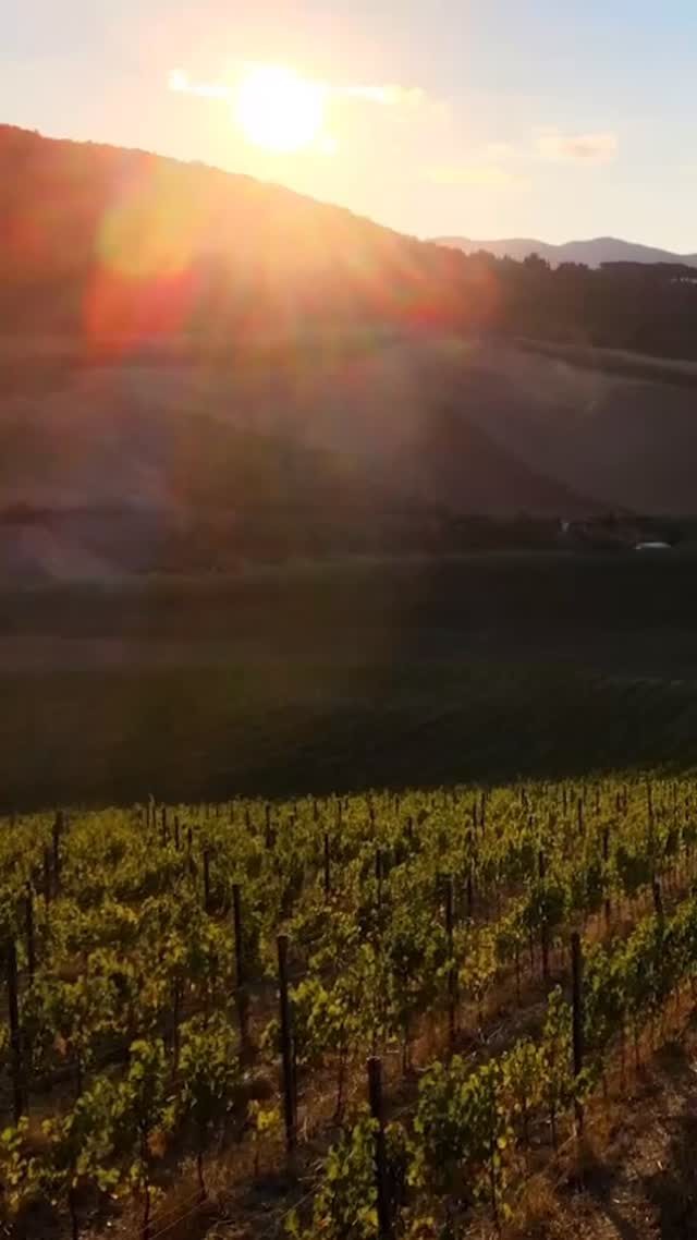 Instagram post from sibaritasgroup. This post is in position 4.