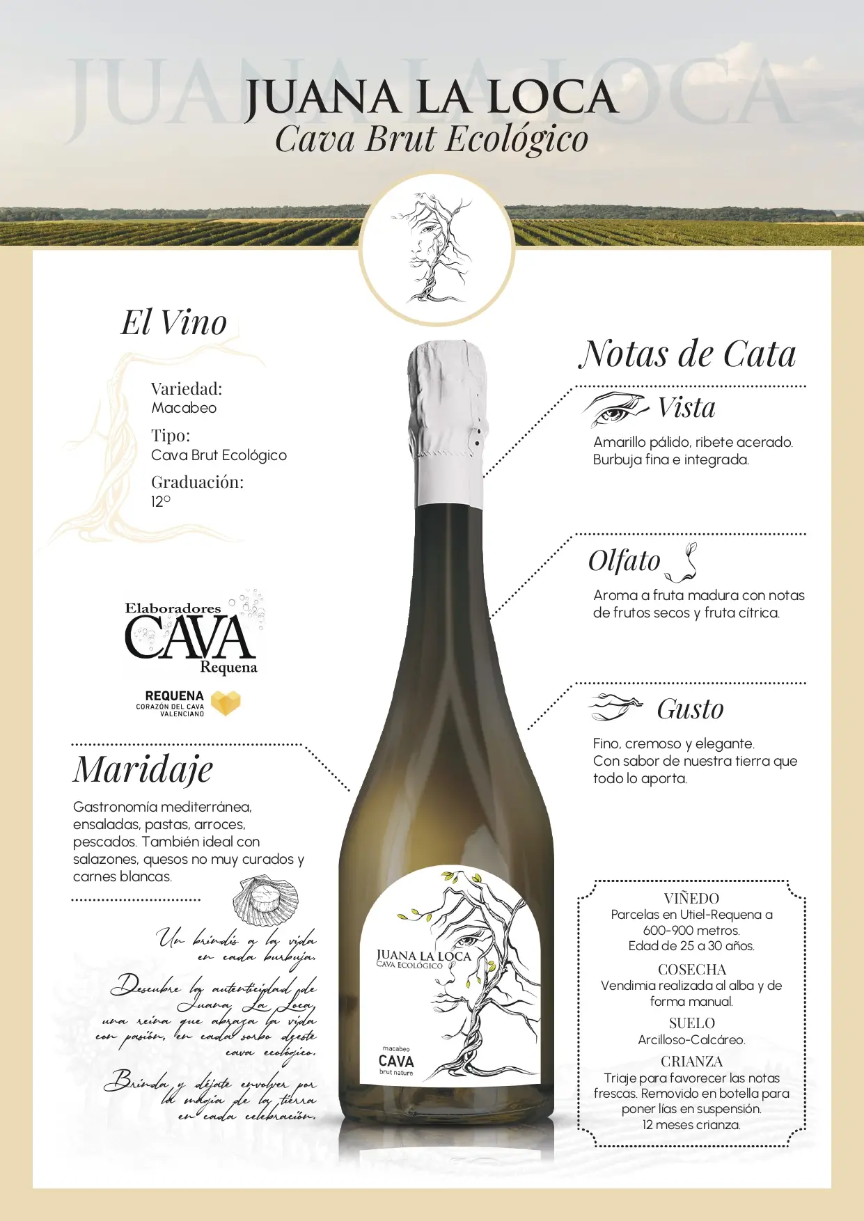 Cava brut Juana la Loca ecologico