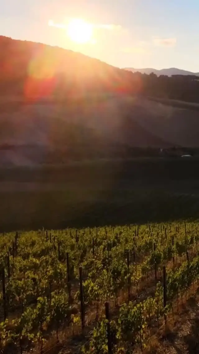 Instagram post from sibaritasgroup. This post is in position 4.